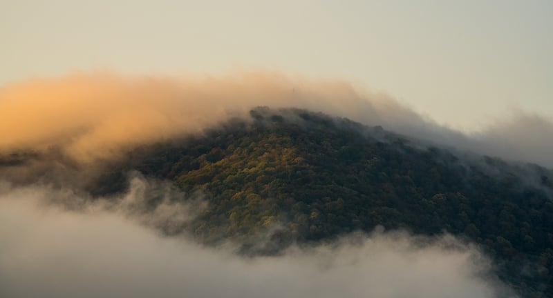 Nature scene representing the tranquility of a digital detox